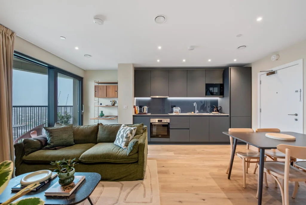 1 bedroom apartment for rent