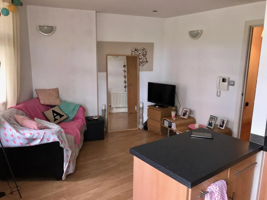 1 bedroom apartment for rent