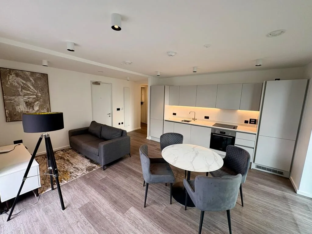 1 bedroom apartment for rent