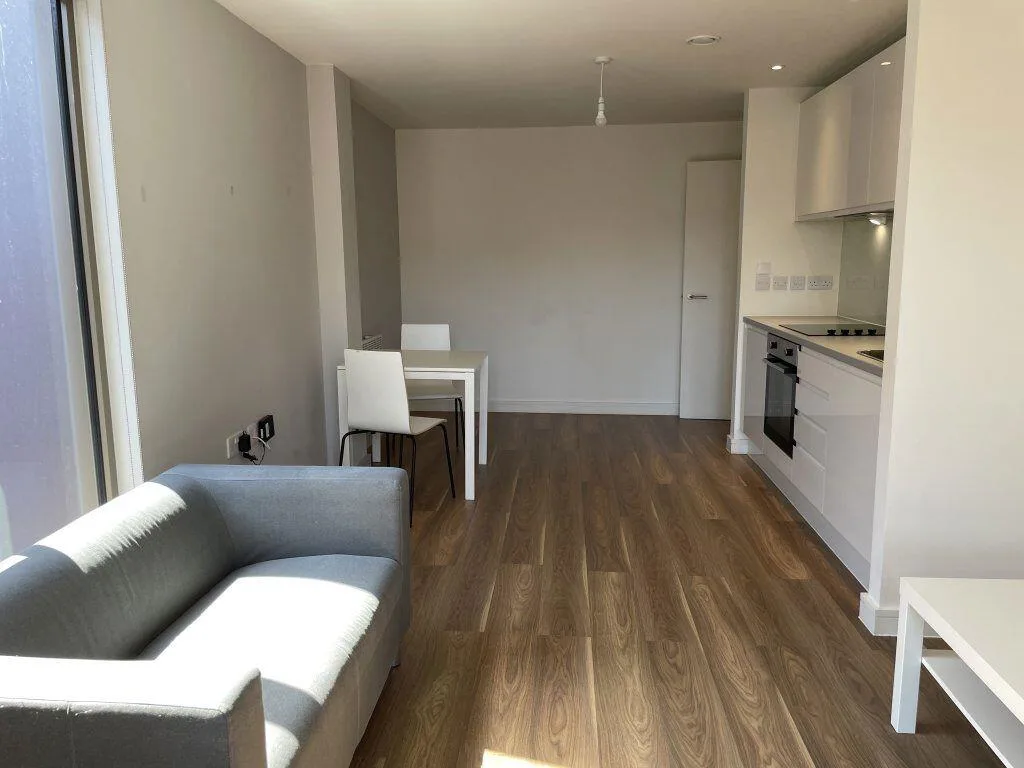1 bedroom apartment for rent