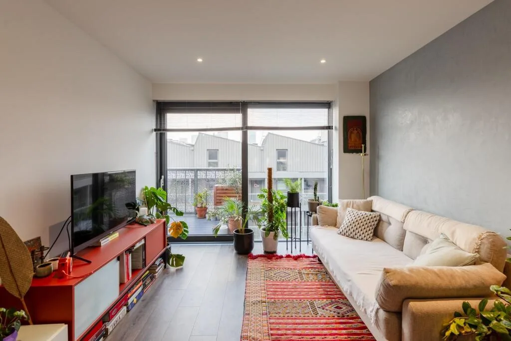 1 bedroom apartment for rent