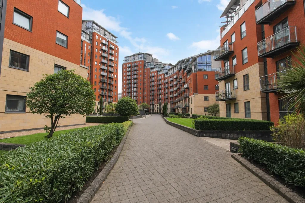 1 bedroom flat for rent