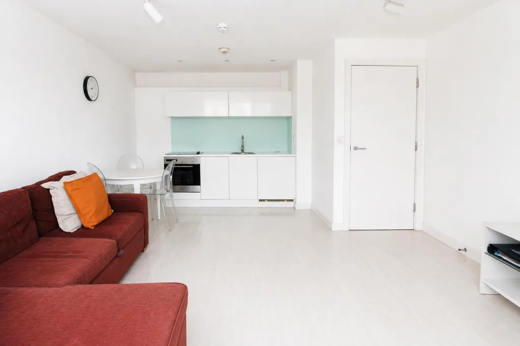 1 bedroom flat for rent