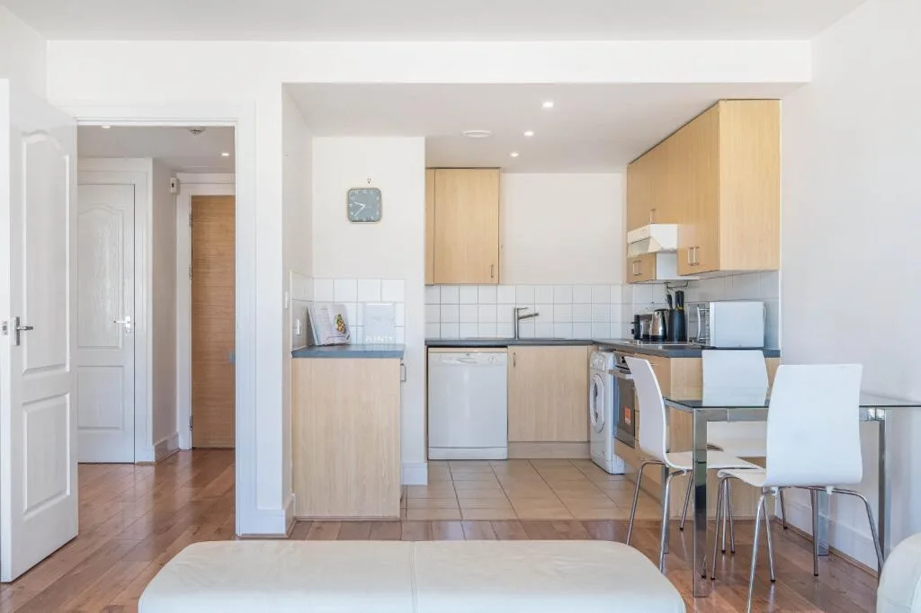 1 bedroom apartment for rent