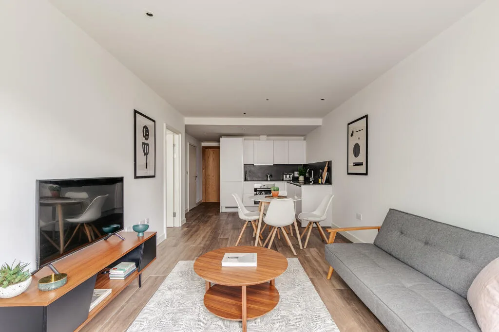 1 bedroom apartment for rent