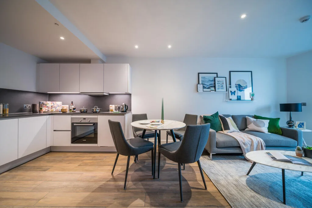1 bedroom apartment for rent