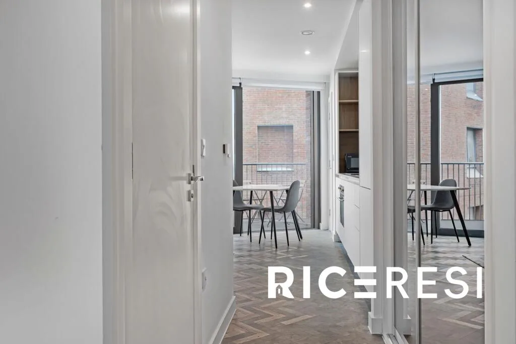 Studio apartment for rent