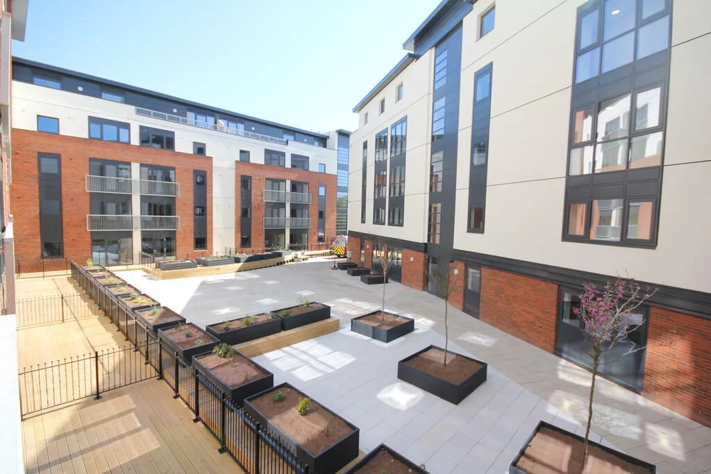 1 bedroom apartment for rent