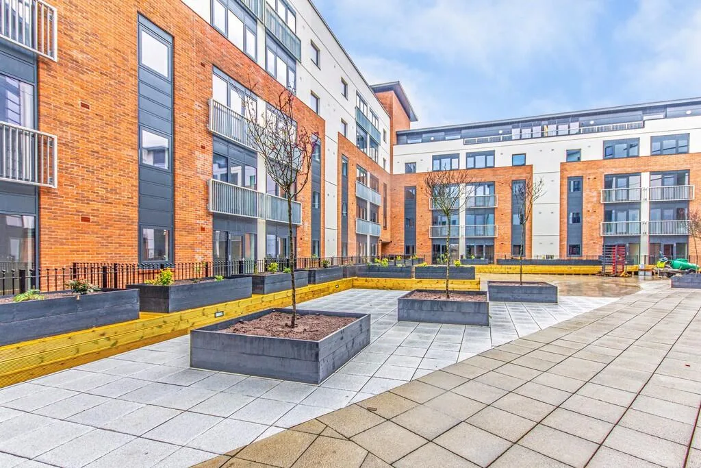 1 bedroom apartment for rent