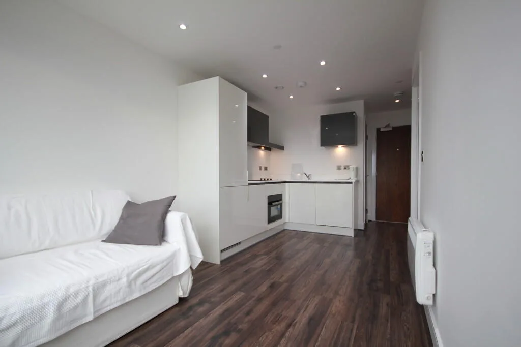 1 bedroom penthouse for rent