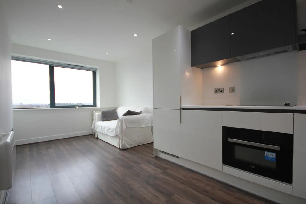 1 bedroom penthouse for rent