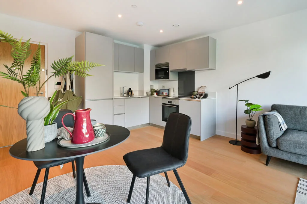 1 bedroom apartment for rent