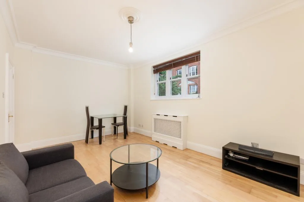 1 bedroom apartment for rent