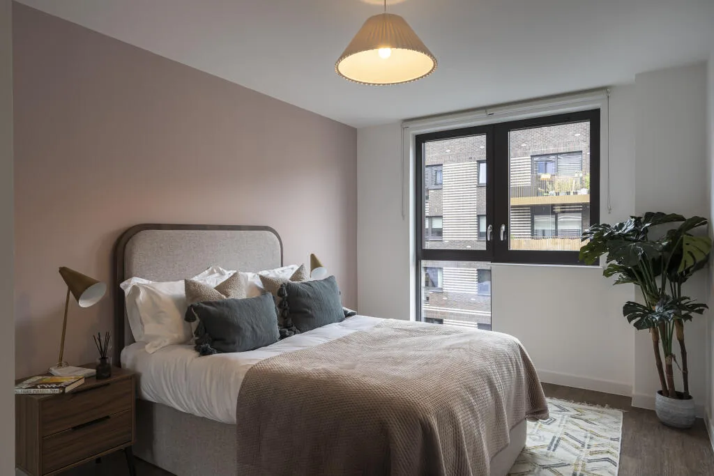 2 bedroom flat for rent