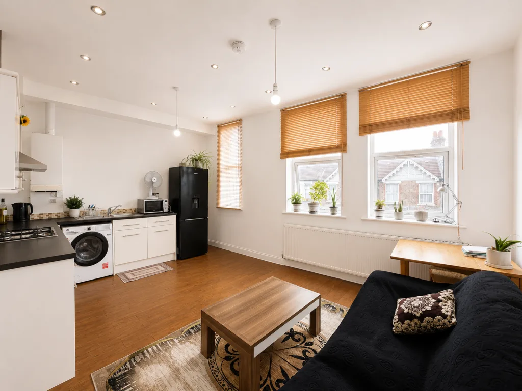 1 bedroom apartment for rent