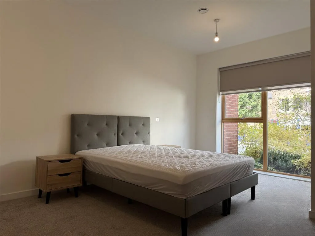 3 bedroom house for rent