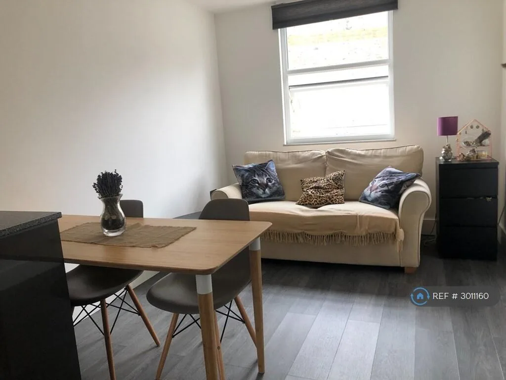 1 bedroom flat for rent