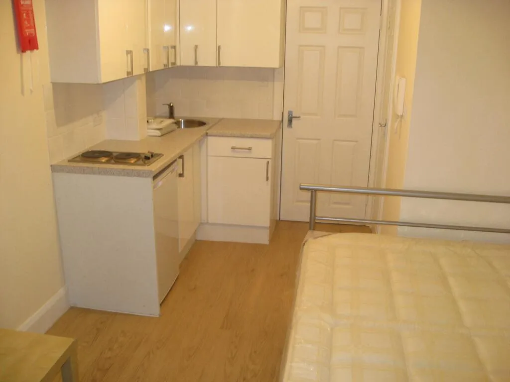 Studio flat for rent