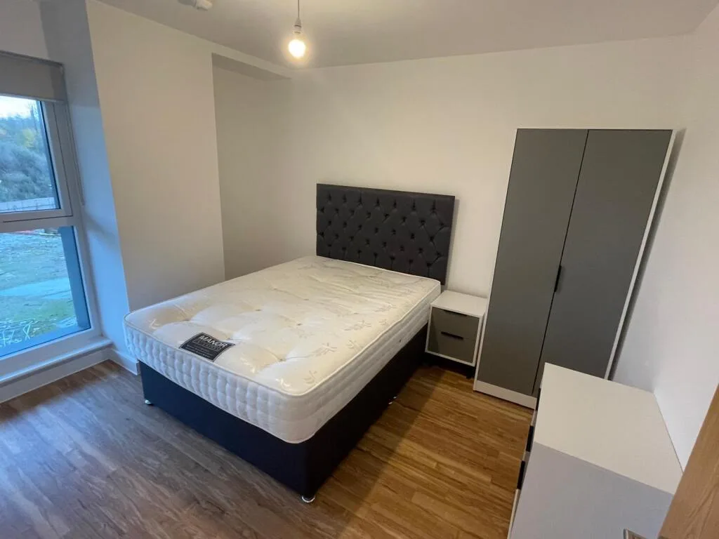 1 bedroom apartment for rent