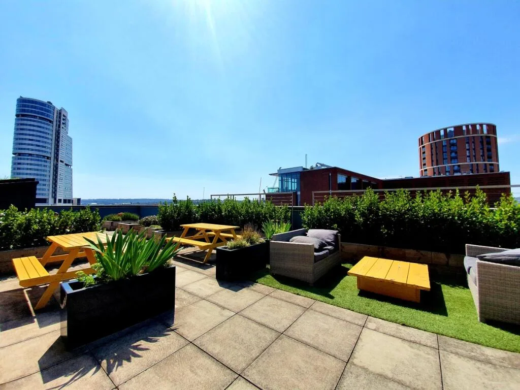 1 bedroom apartment for rent
