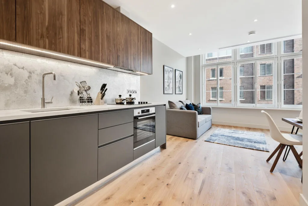 1 bedroom apartment for rent