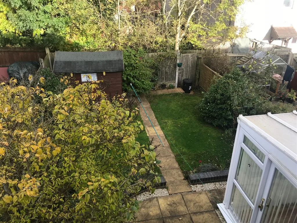 3 bedroom house for rent