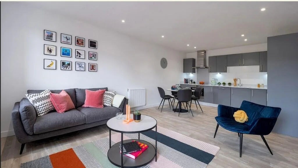 1 bedroom flat for rent