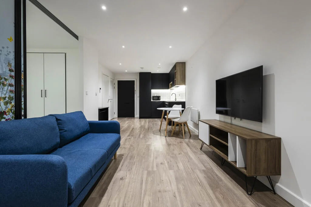 1 bedroom flat for rent