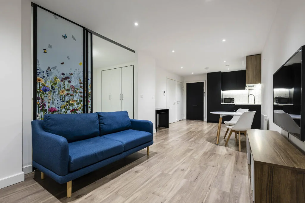 1 bedroom flat for rent