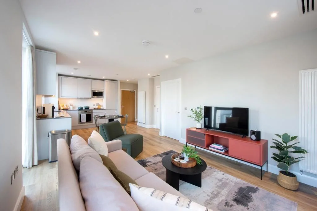 1 bedroom flat for rent
