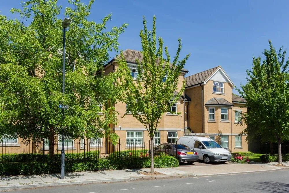 2 bedroom apartment for rent