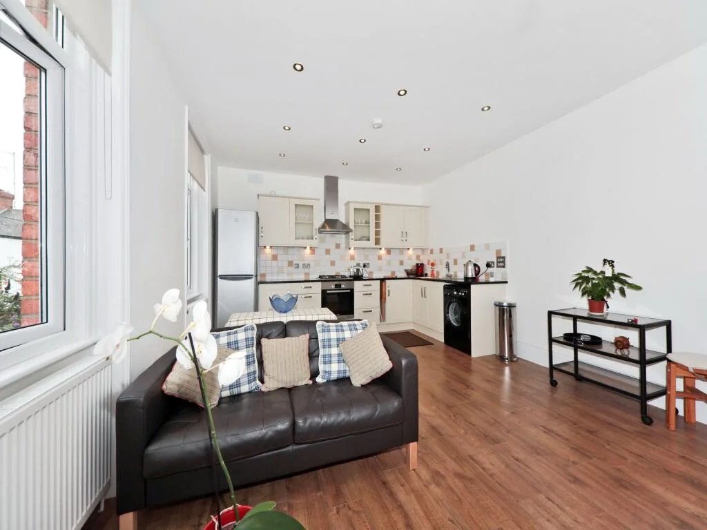1 bedroom apartment for rent