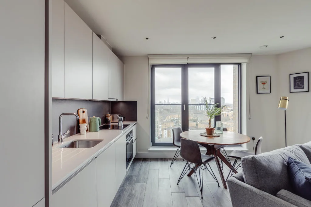 1 bedroom apartment for rent