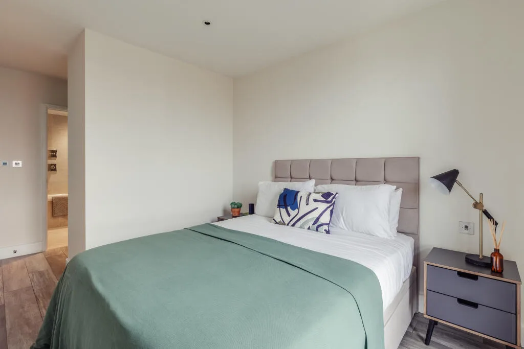 1 bedroom apartment for rent