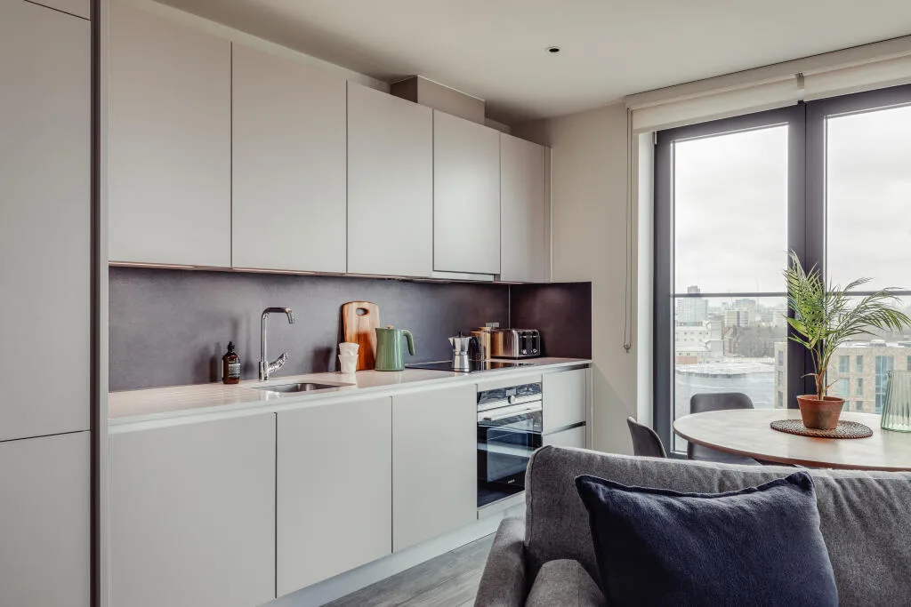 1 bedroom apartment for rent