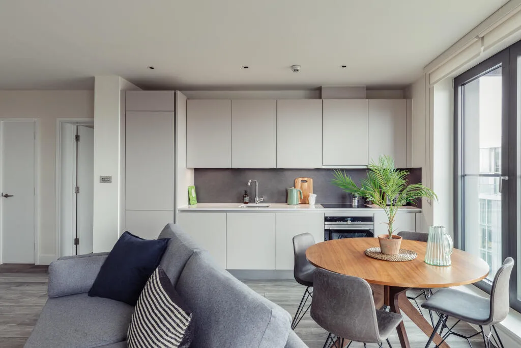 1 bedroom apartment for rent