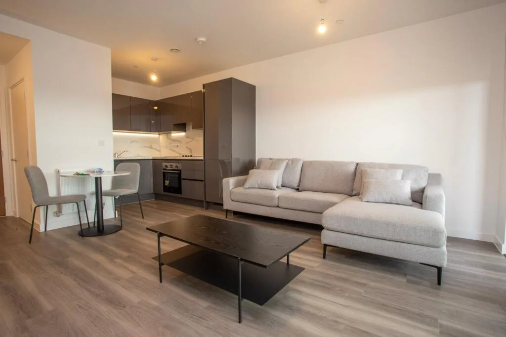 1 bedroom apartment for rent