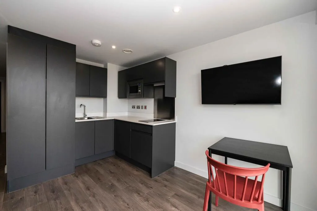 Studio flat for rent