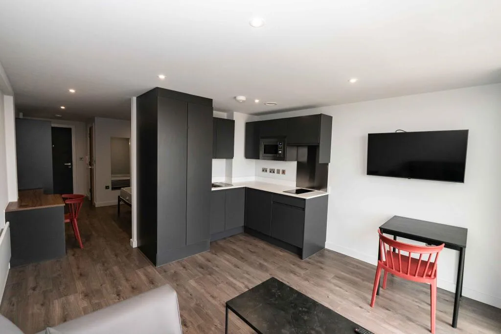 Studio flat for rent