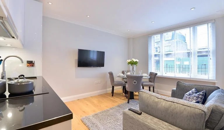 1 bedroom apartment for rent