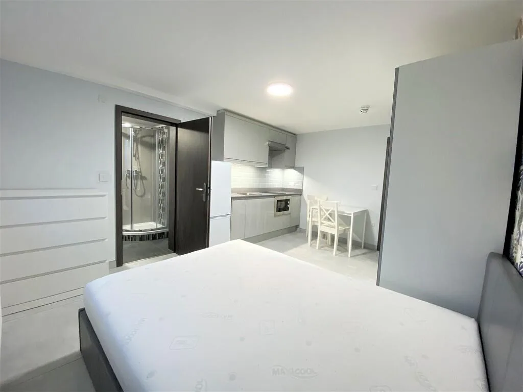 Studio flat for rent
