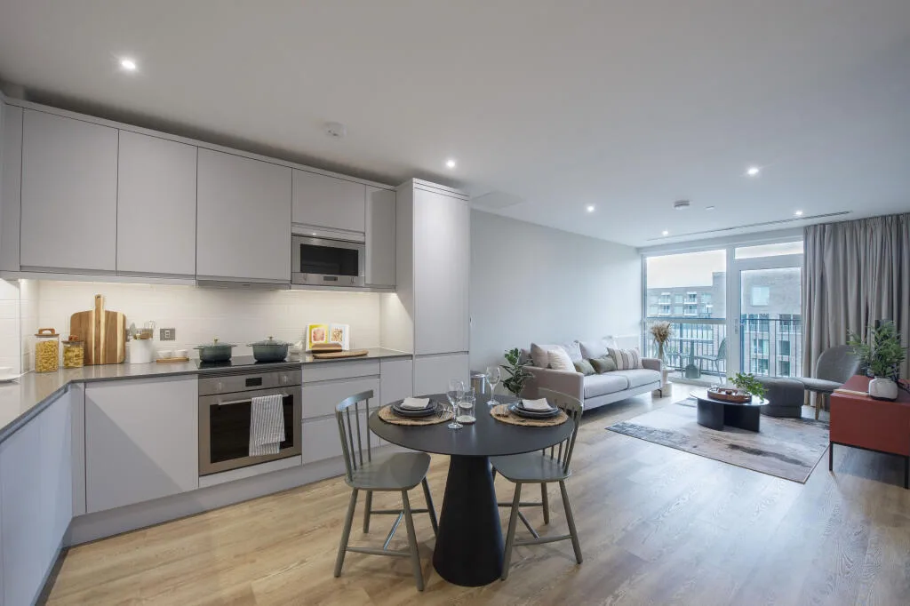 1 bedroom apartment for rent