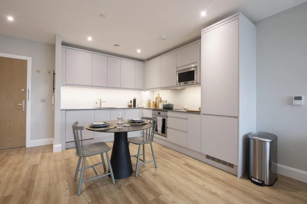 1 bedroom apartment for rent