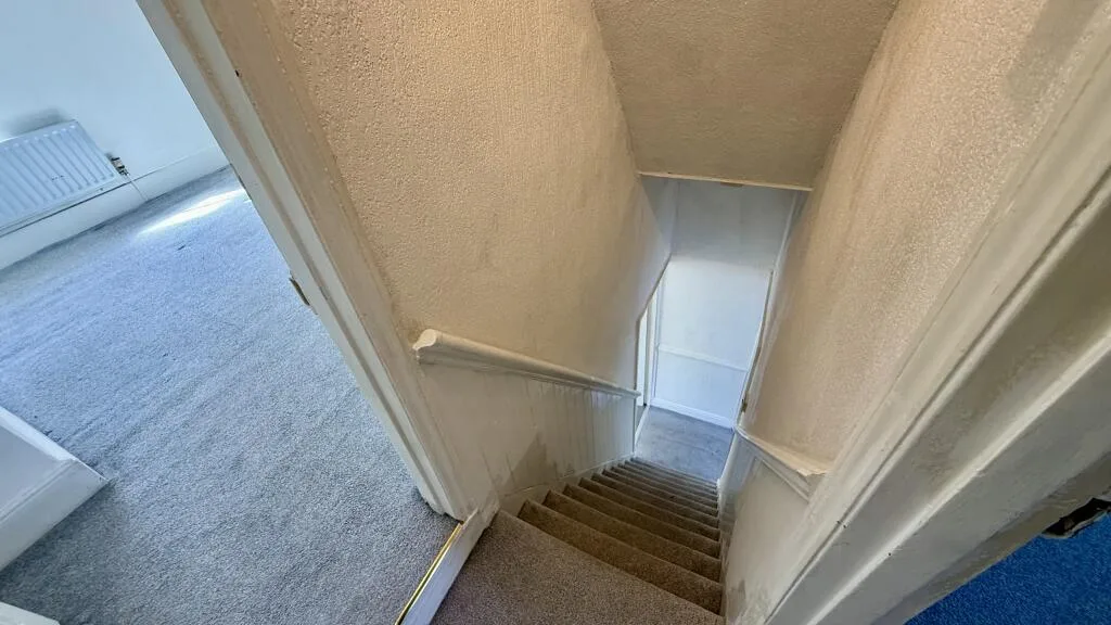 2 bedroom house for rent