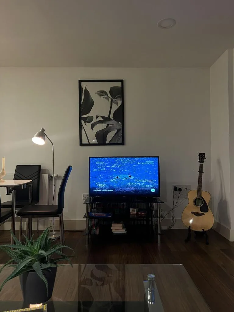 1 bedroom apartment for rent
