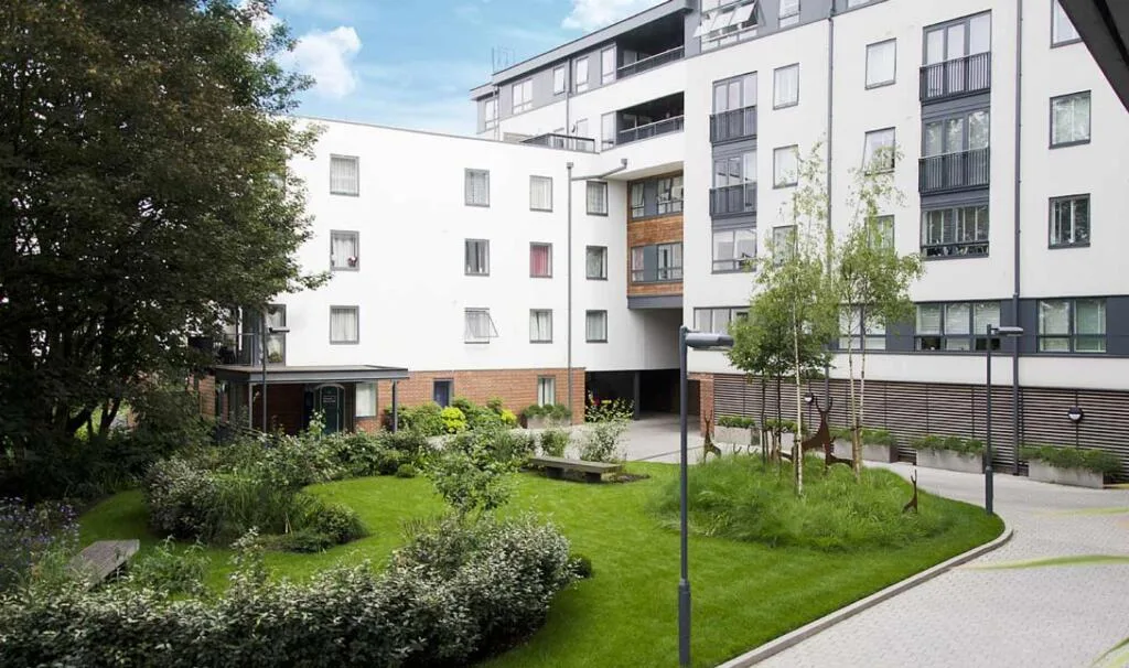 1 bedroom apartment for rent