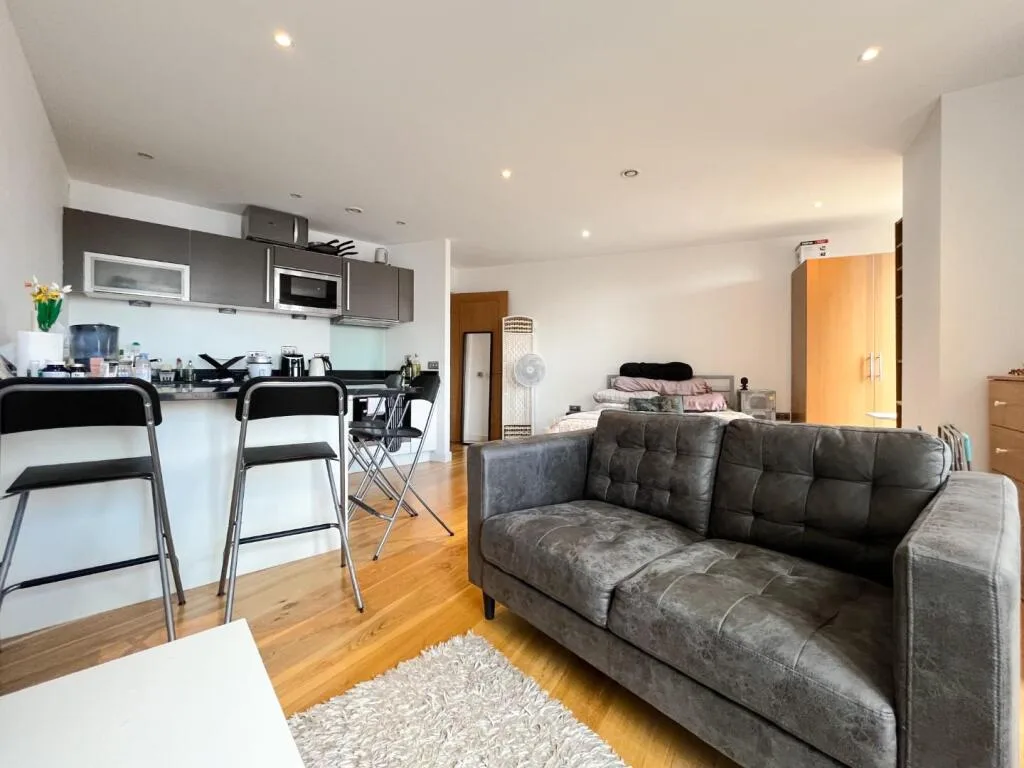 Studio flat for rent