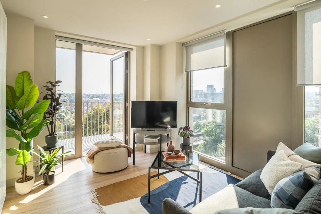1 bedroom flat for rent
