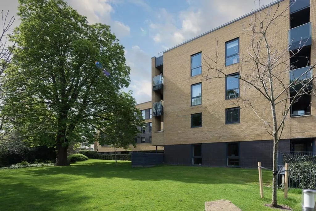 2 bedroom flat for rent