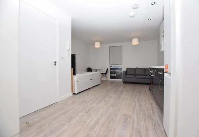 Studio apartment for rent
